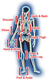 click on a part of the body